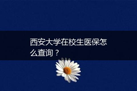西安大学在校生医保怎么查询？