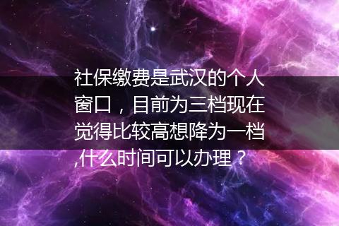 社保缴费是武汉的个人窗口，目前为三档现在觉得比较高想降为一档,什么时间可以办理？