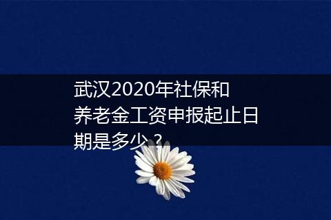 武汉2020年社保和养老金工资申报起止日期是多少？
