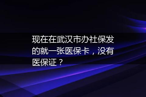 现在在武汉市办社保发的就一张医保卡，没有医保证？