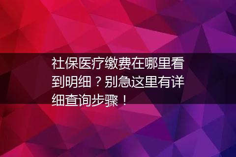 社保医疗缴费在哪里看到明细？别急这里有详细查询步骤！