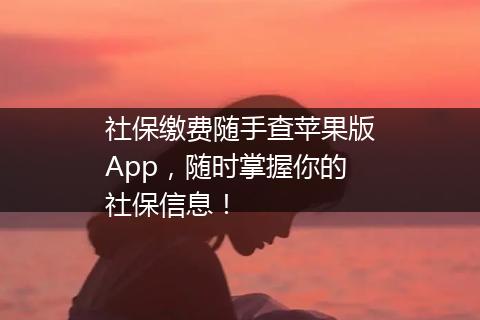 社保缴费随手查苹果版App，随时掌握你的社保信息！