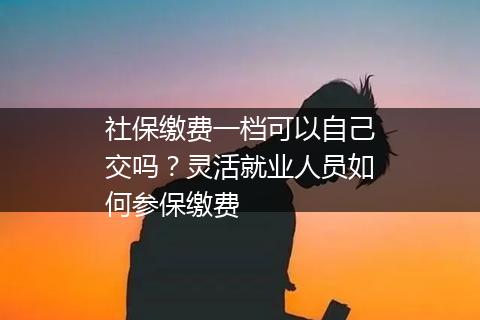 社保缴费一档可以自己交吗？灵活就业人员如何参保缴费