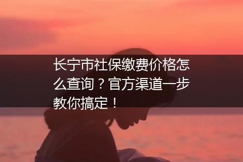 长宁市社保缴费价格怎么查询？官方渠道一步教你搞定！