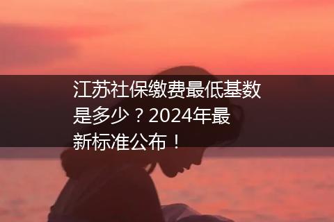 江苏社保缴费最低基数是多少？2024年最新标准公布！