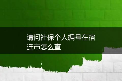 请问社保个人编号在宿迁市怎么查