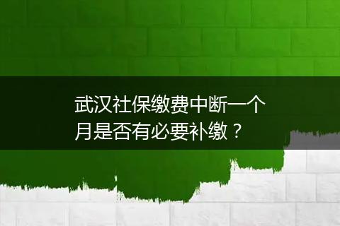 武汉社保缴费中断一个月是否有必要补缴？