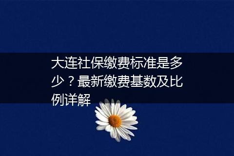 大连社保缴费标准是多少？最新缴费基数及比例详解