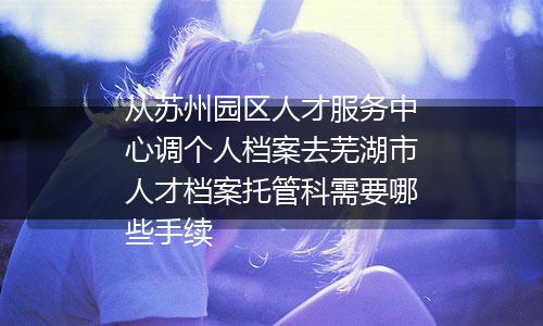 从苏州园区人才服务中心调个人档案去芜湖市人才档案托管科需要哪些手续