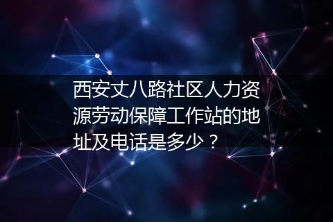 西安丈八路社区人力资源劳动保障工作站的地址及电话是多少？