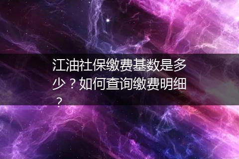 江油社保缴费基数是多少？如何查询缴费明细？
