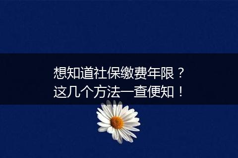 想知道社保缴费年限？这几个方法一查便知！
