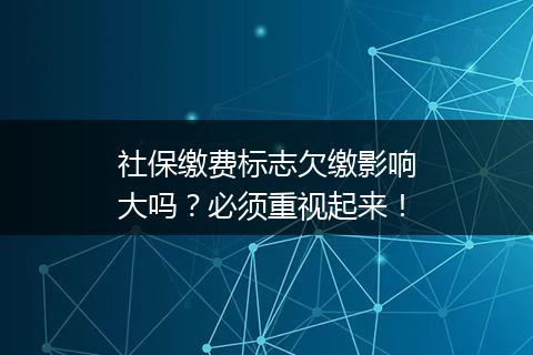 社保缴费标志欠缴影响大吗？必须重视起来！