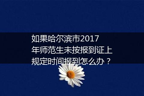 如果哈尔滨市2017年师范生未按报到证上规定时间报到怎么办？