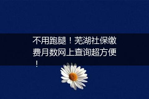 不用跑腿！芜湖社保缴费月数网上查询超方便！