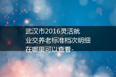 武汉市2016灵活就业交养老标准档次明细在哪里可以查看-