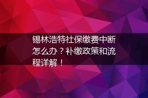 锡林浩特社保缴费中断怎么办？补缴政策和流程详解！