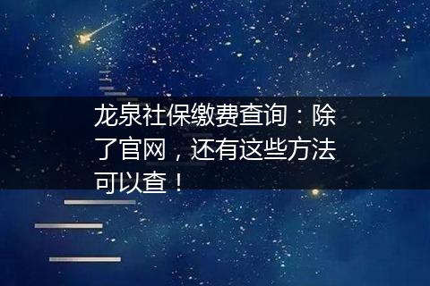 龙泉社保缴费查询：除了官网，还有这些方法可以查！