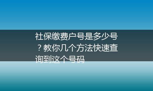 社保缴费户号是多少号？教你几个方法快速查询到这个号码