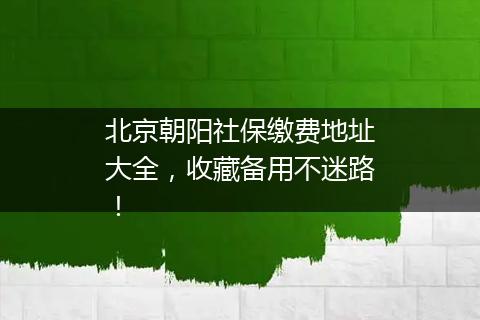 北京朝阳社保缴费地址大全，收藏备用不迷路！