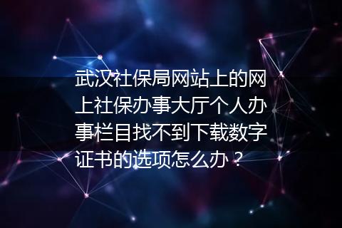 武汉社保局网站上的网上社保办事大厅个人办事栏目找不到下载数字证书的选项怎么办？