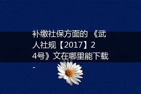 补缴社保方面的 《武人社规【2017】24号》文在哪里能下载-
