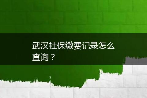武汉社保缴费记录怎么查询？
