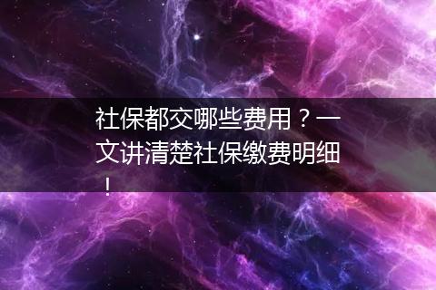 社保都交哪些费用？一文讲清楚社保缴费明细！