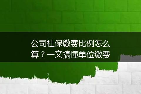 公司社保缴费比例怎么算？一文搞懂单位缴费
