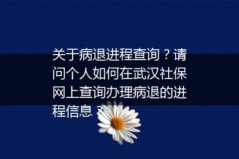 关于病退进程查询？请问个人如何在武汉社保网上查询办理病退的进程信息？