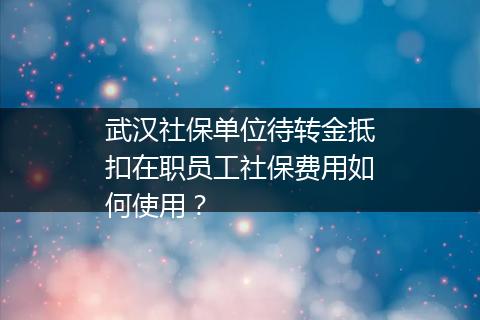 武汉社保单位待转金抵扣在职员工社保费用如何使用？