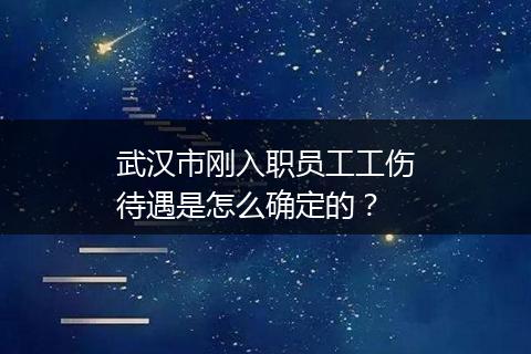 武汉市刚入职员工工伤待遇是怎么确定的？