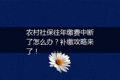 农村社保往年缴费中断了怎么办？补缴攻略来了！