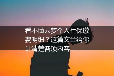 看不懂云梦个人社保缴费明细？这篇文章给你讲清楚各项内容！