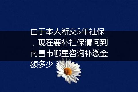 由于本人断交5年社保，现在要补社保请问到南昌市哪里咨询补缴金额多少？