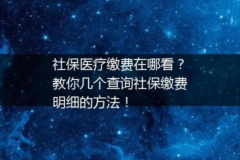 社保医疗缴费在哪看？教你几个查询社保缴费明细的方法！