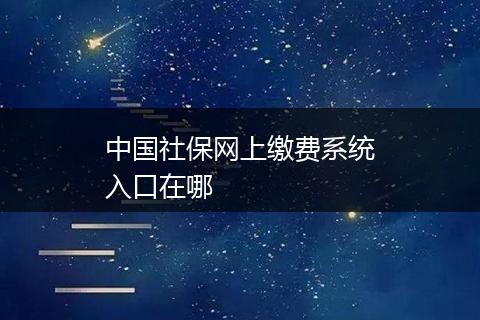 中国社保网上缴费系统入口在哪