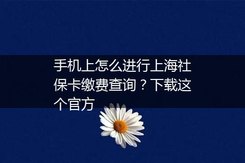 手机上怎么进行上海社保卡缴费查询？下载这个官方