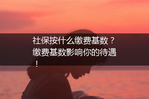 社保按什么缴费基数？缴费基数影响你的待遇！