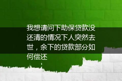 我想请问下助保贷款没还清的情况下人突然去世，余下的贷款部分如何偿还