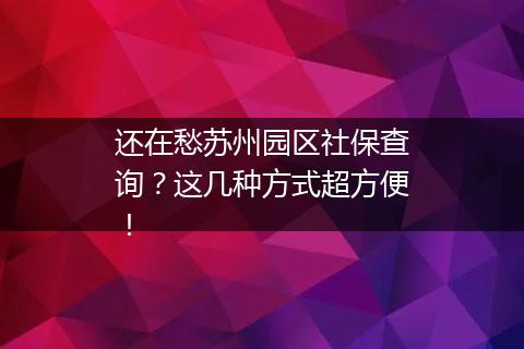 还在愁苏州园区社保查询？这几种方式超方便！