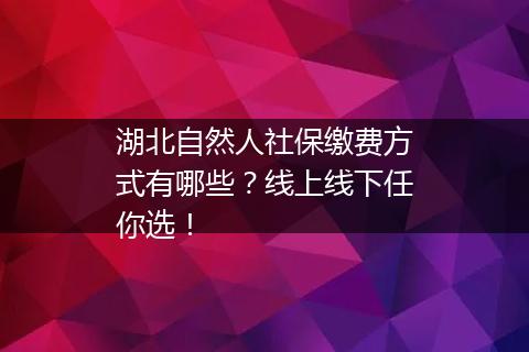 湖北自然人社保缴费方式有哪些？线上线下任你选！