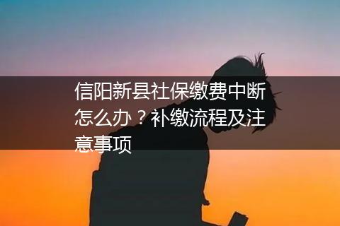信阳新县社保缴费中断怎么办？补缴流程及注意事项
