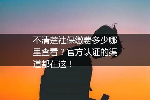 不清楚社保缴费多少哪里查看？官方认证的渠道都在这！