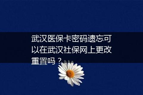 武汉医保卡密码遗忘可以在武汉社保网上更改重置吗？