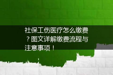 社保工伤医疗怎么缴费？图文详解缴费流程与注意事项！