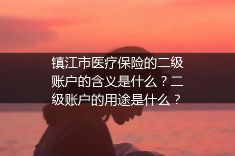 镇江市医疗保险的二级账户的含义是什么？二级账户的用途是什么？