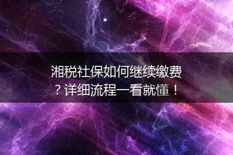 湘税社保如何继续缴费？详细流程一看就懂！