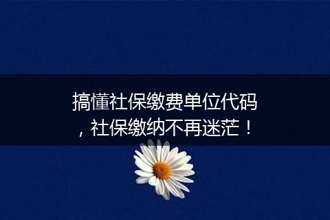 搞懂社保缴费单位代码，社保缴纳不再迷茫！