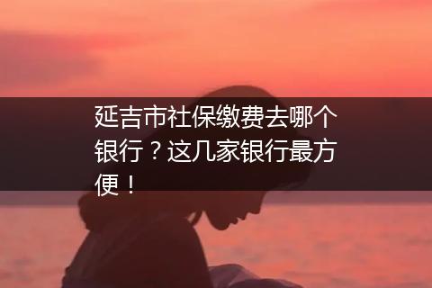 延吉市社保缴费去哪个银行？这几家银行最方便！